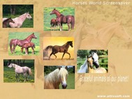 Horses World Screensaver screenshot